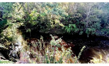 ALERCE PARCELA 5000 M2 CONLINDA CON ESTERO RIO NEGRO