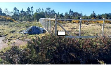 ALERCE PARCELA 5000 M2 CONLINDA CON ESTERO RIO NEGRO