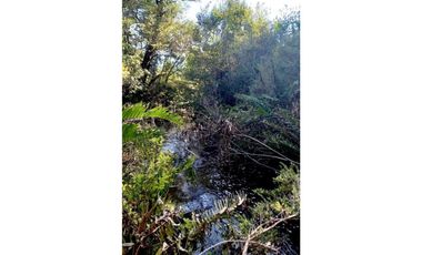 ALERCE PARCELA 5000 M2 CONLINDA CON ESTERO RIO NEGRO