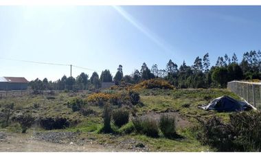 ALERCE PARCELA 5000 M2 CONLINDA CON ESTERO RIO NEGRO