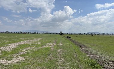 Terreno en Venta, Autopista México-Querétaro