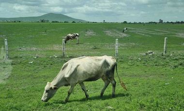 Terreno en Venta, Autopista México-Querétaro
