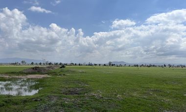 Terreno en Venta, Autopista México-Querétaro