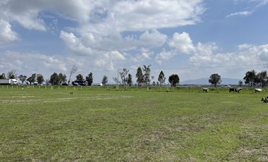 Terreno en Venta, Autopista México-Querétaro