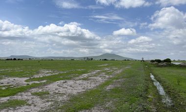 Terreno en Venta, Autopista México-Querétaro