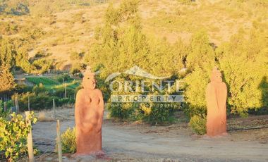HERMOSA PARCELA DE AGRADO EN CUNCUMÉN