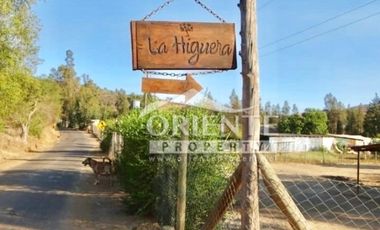 HERMOSA PARCELA DE AGRADO EN CUNCUMÉN
