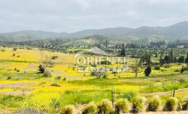 HERMOSA PARCELA DE AGRADO EN CUNCUMÉN