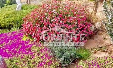 HERMOSA PARCELA DE AGRADO EN CUNCUMÉN