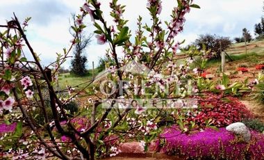 HERMOSA PARCELA DE AGRADO EN CUNCUMÉN