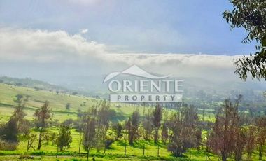 HERMOSA PARCELA DE AGRADO EN CUNCUMÉN