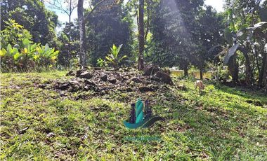 VENDO CASA Y TERRENO DE 1856M2 BORDEADO X RIO EN BOQUERON
