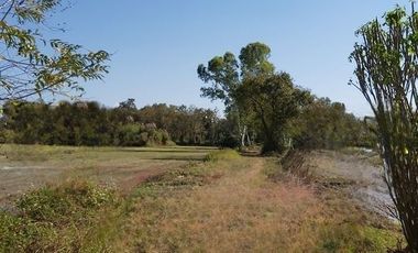 Land for sale in Rop Wiang, Chiang Rai