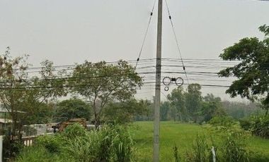 Land for sale in Rop Wiang, Chiang Rai