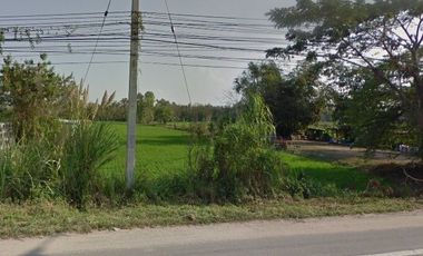 Land for sale in Rop Wiang, Chiang Rai