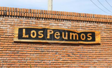 Parcela en venta en HUALQUI