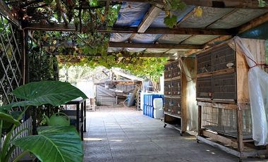 Parcela en Venta en Quillota Urbano