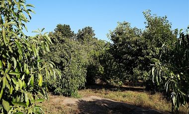 Parcela en Venta en Quillota Urbano
