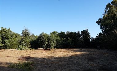 Parcela en Venta en Quillota Urbano