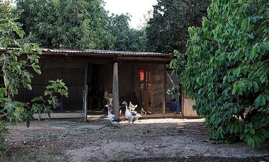 Parcela en Venta en Quillota Urbano