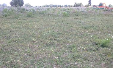 Agrícola en Venta en León Bustos 12, Linares