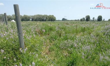 Agrícola en Venta en León Bustos 12, Linares