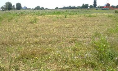 Agrícola en Venta en León Bustos 12, Linares