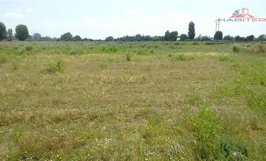 Agrícola en Venta en León Bustos 12, Linares