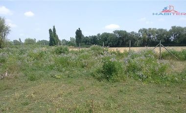 Agrícola en Venta en León Bustos 12, Linares