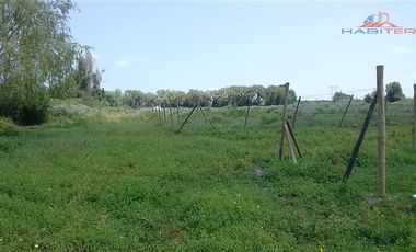 Agrícola en Venta en León Bustos 12, Linares