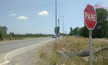 Agrícola en Venta en León Bustos 12, Linares
