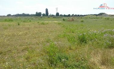 Agrícola en Venta en León Bustos 12, Linares