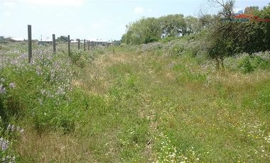 Agrícola en Venta en León Bustos 12, Linares