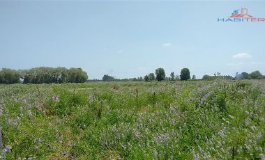 Agrícola en Venta en León Bustos 12, Linares