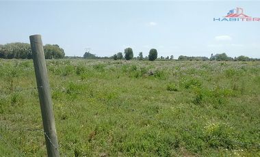 Agrícola en Venta en León Bustos 12, Linares