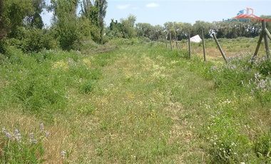 Agrícola en Venta en León Bustos 12, Linares