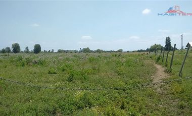 Agrícola en Venta en León Bustos 12, Linares