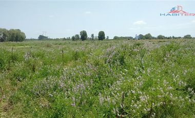 Agrícola en Venta en León Bustos 12, Linares