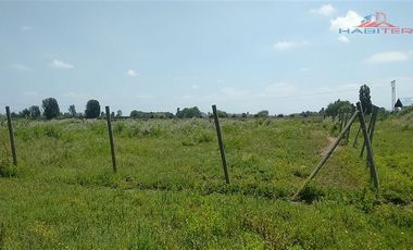 Agrícola en Venta en León Bustos 12, Linares