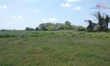 Agrícola en Venta en León Bustos 12, Linares