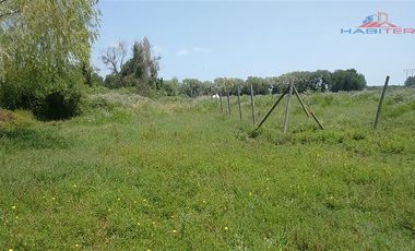 Agrícola en Venta en León Bustos 12, Linares