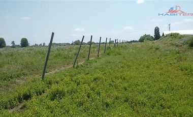 Agrícola en Venta en León Bustos 12, Linares