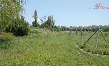 Agrícola en Venta en León Bustos 12, Linares