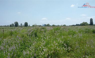 Agrícola en Venta en León Bustos 12, Linares