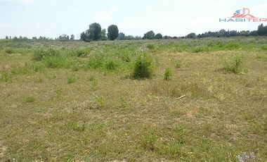 Agrícola en Venta en León Bustos 12, Linares