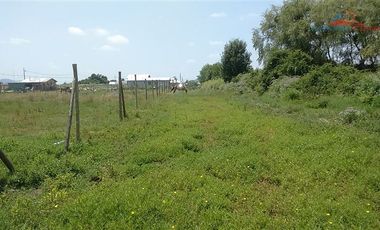 Agrícola en Venta en León Bustos 12, Linares