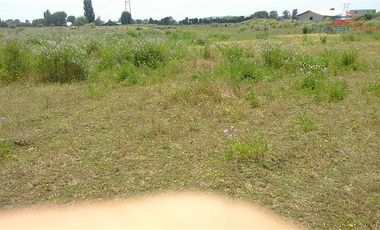 Agrícola en Venta en León Bustos 12, Linares