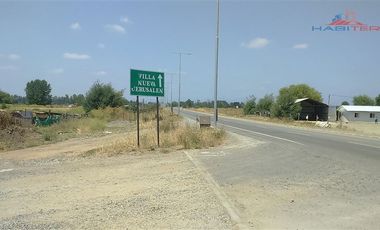 Agrícola en Venta en León Bustos 12, Linares