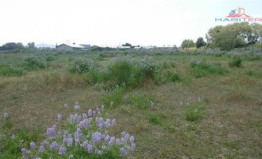 Agrícola en Venta en León Bustos 12, Linares