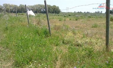 Agrícola en Venta en León Bustos 12, Linares